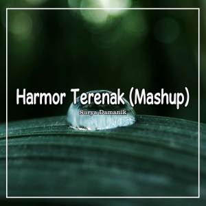 ดาวน์โหลดและฟังเพลง Mashup Harmor Kane Vol 2 พร้อมเนื้อเพลงจาก Surya Damanik