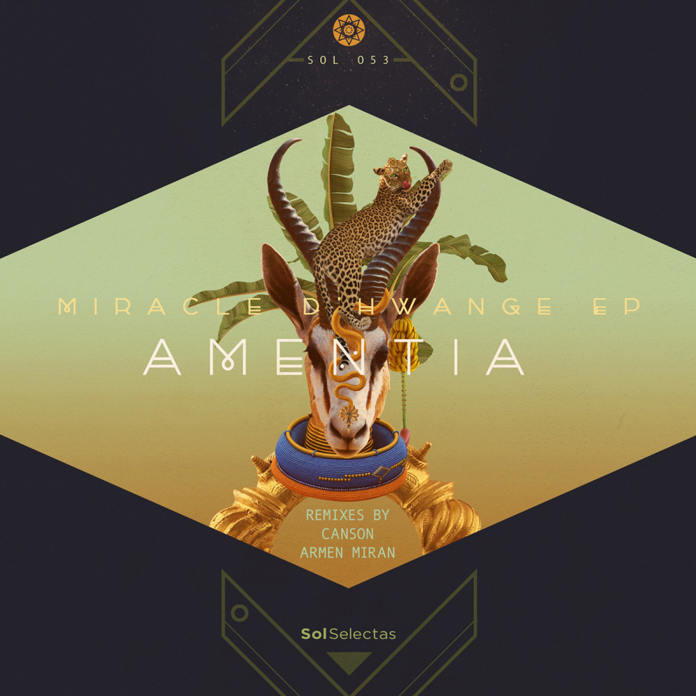 Miracle D'Hwange (Armen Miran Remix)