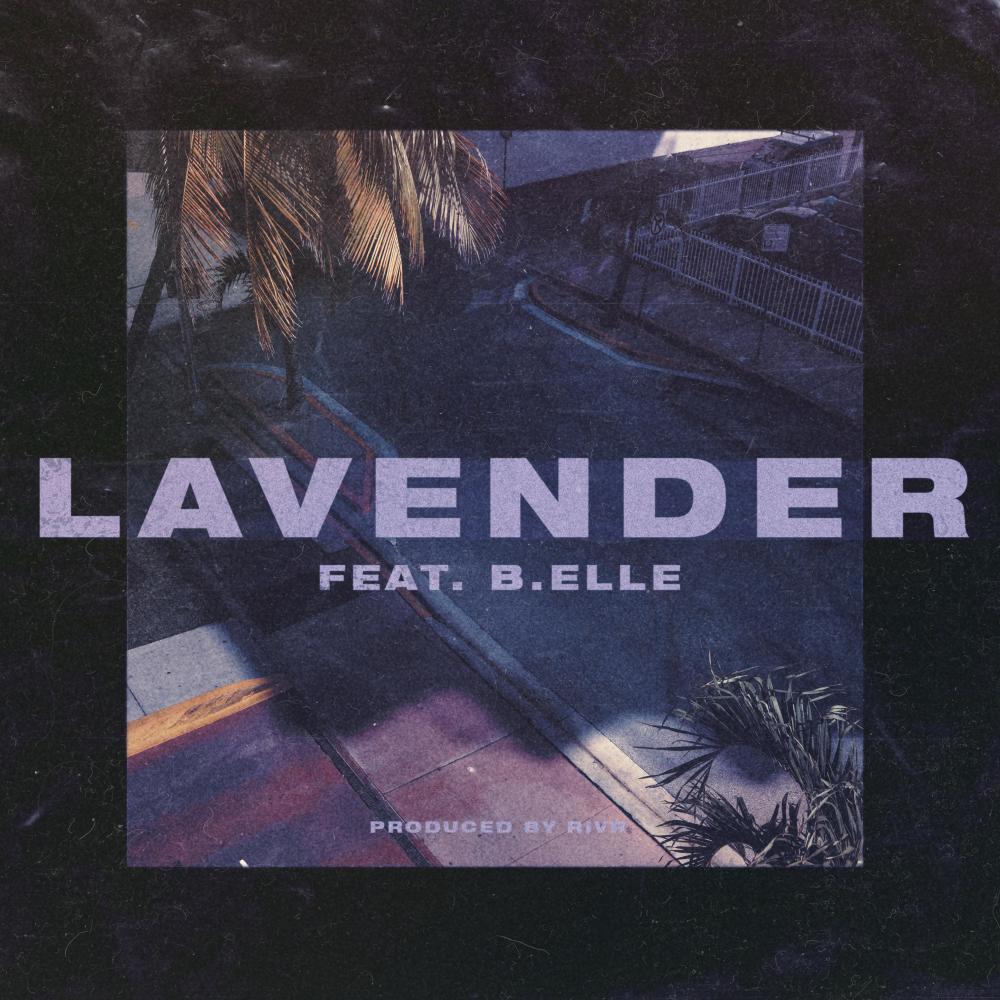 Lavender