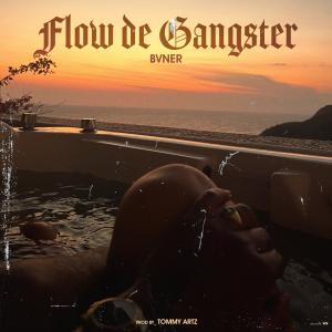 ดาวน์โหลดและฟังเพลง Flow de Gangster พร้อมเนื้อเพลงจาก BVNER