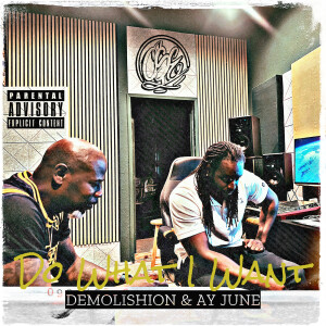 Album Do What I Want (Explicit) from Demolishion