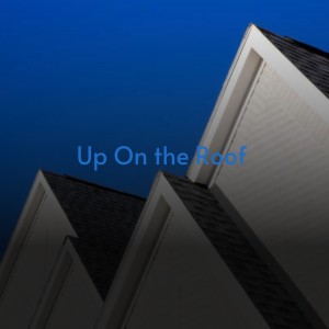 Listen to Vol7 Felicia song with lyrics from Bobby & The Orbits
