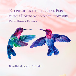 ดาวน์โหลดและฟังเพลง Es lindert sich die höchste Pein durch Hoffnung und geduldig sein พร้อมเนื้อเพลงจาก Il Profondo