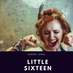 อัลบัม Little Sixteen ศิลปิน The Aquatones