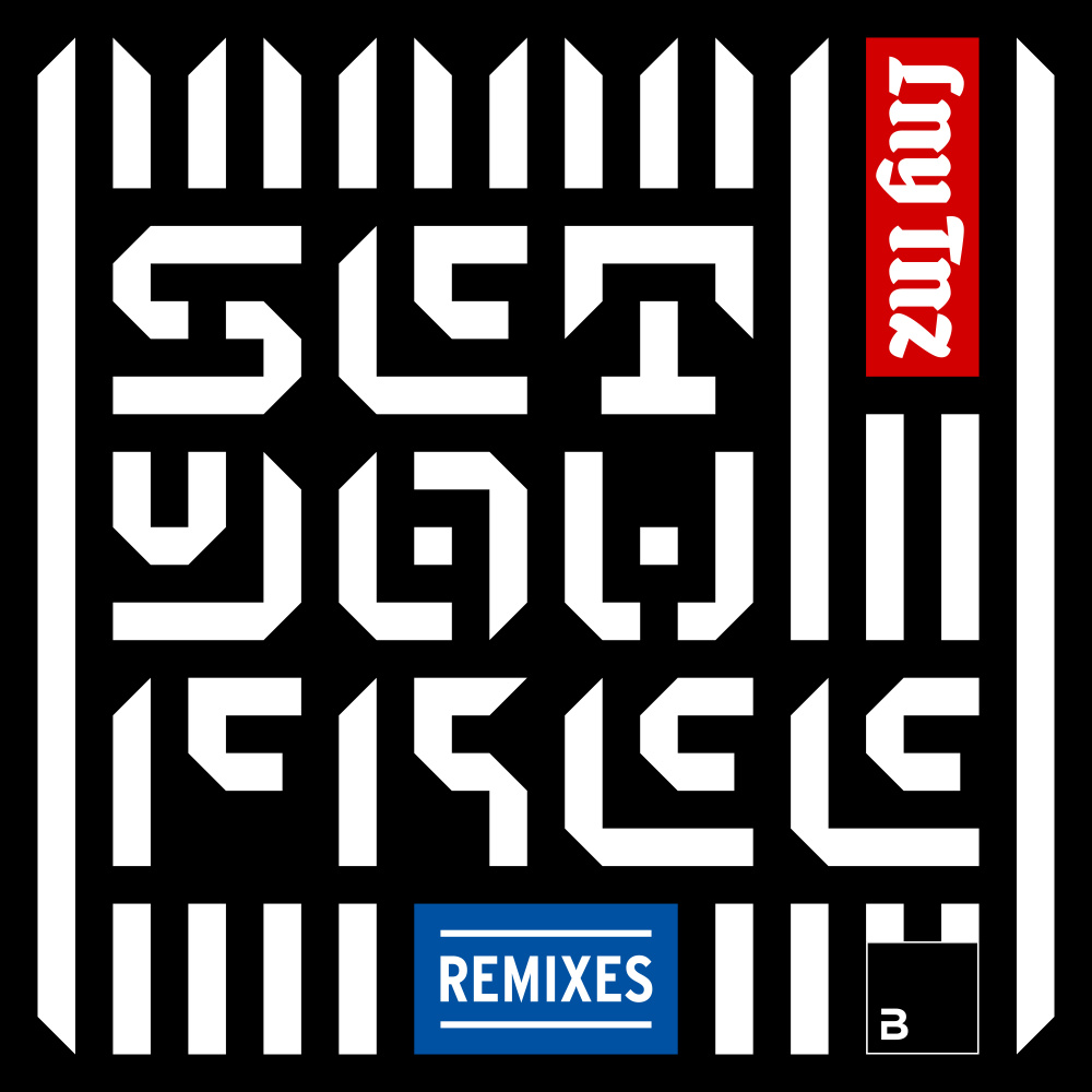 Set You Free (Roy Dest Remix)