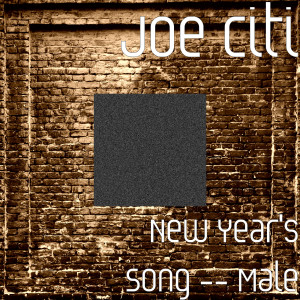 收聽Joe Citi的New Year's Song - Male (Explicit)歌詞歌曲