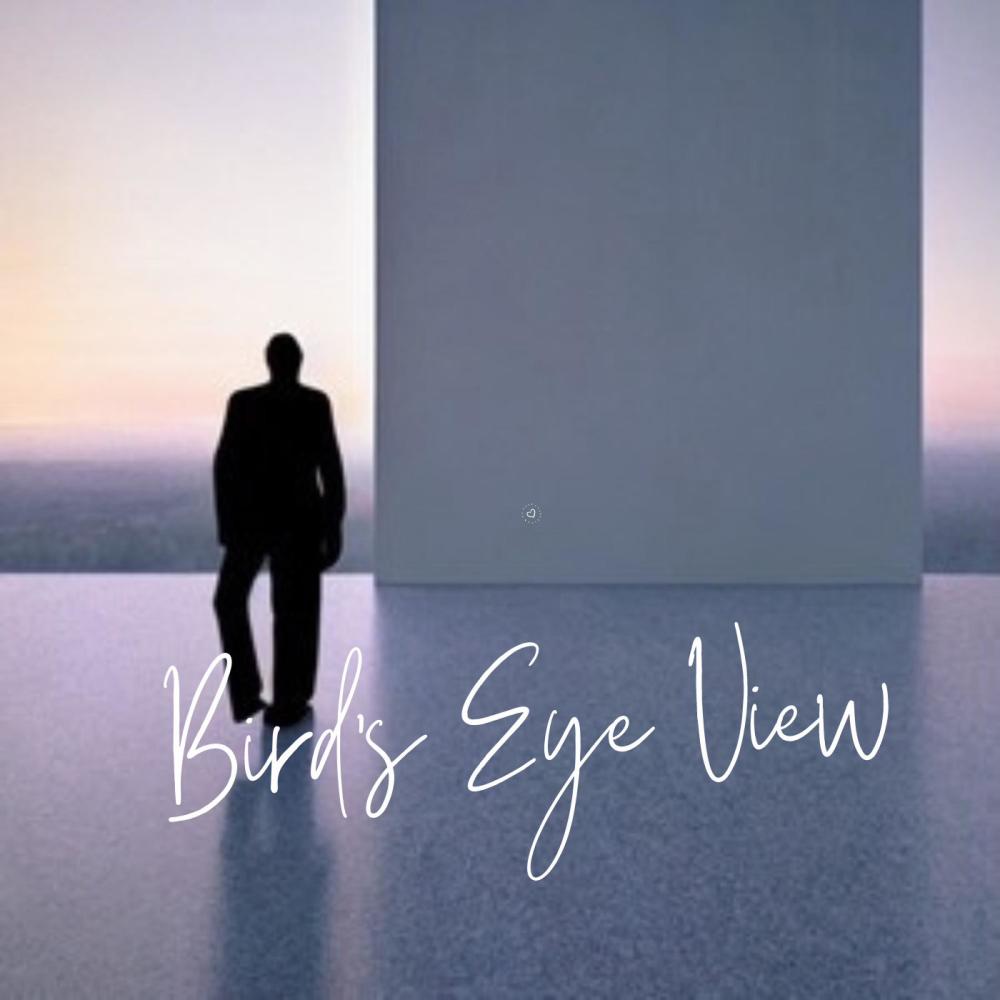 Bird's Eye View (feat. Zoe Maria) (Instrumental)