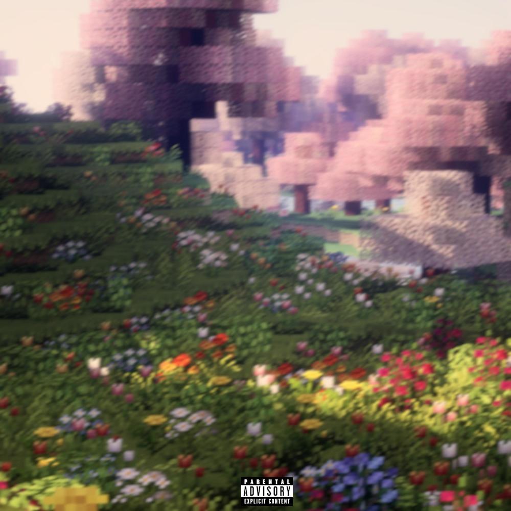Minecraft (feat. Sky Sora) (Explicit)