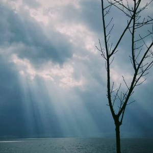 Album 航海家 from 王璇