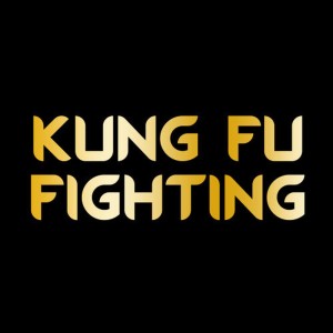 ดาวน์โหลดและฟังเพลง Kung Fu Fighting พร้อมเนื้อเพลงจาก Hitz Movie Themes
