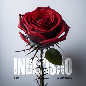 Indecisão (Explicit) dari Nilo