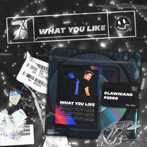 Listen to What You Like (Radio Edit) song with lyrics from Clawniano