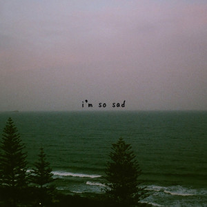 ดาวน์โหลดและฟังเพลง i'm so sad (Explicit) พร้อมเนื้อเพลงจาก gnash