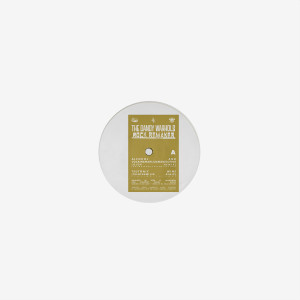 收聽The Dandy Warhols的I Will Never Stop Loving You (A Place To Bury Strangers Remix)歌詞歌曲