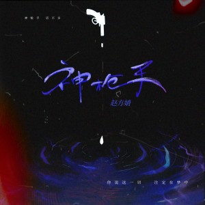 Album 神枪手 from 赵方婧