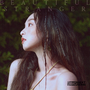 Album Beautiful Stranger from Shin Yumi