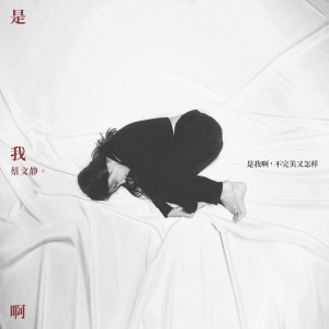 收聽蔡文靜的是我啊 (伴奏)歌詞歌曲