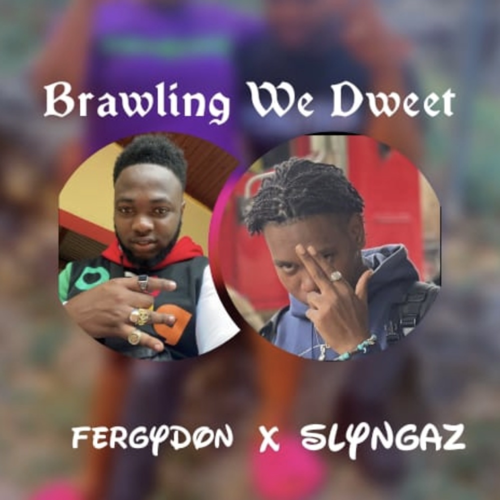 Brawling We Dweet (feat. Slyngaz) (Explicit)