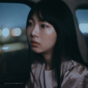 收听洪安妮的思念的周期歌词歌曲