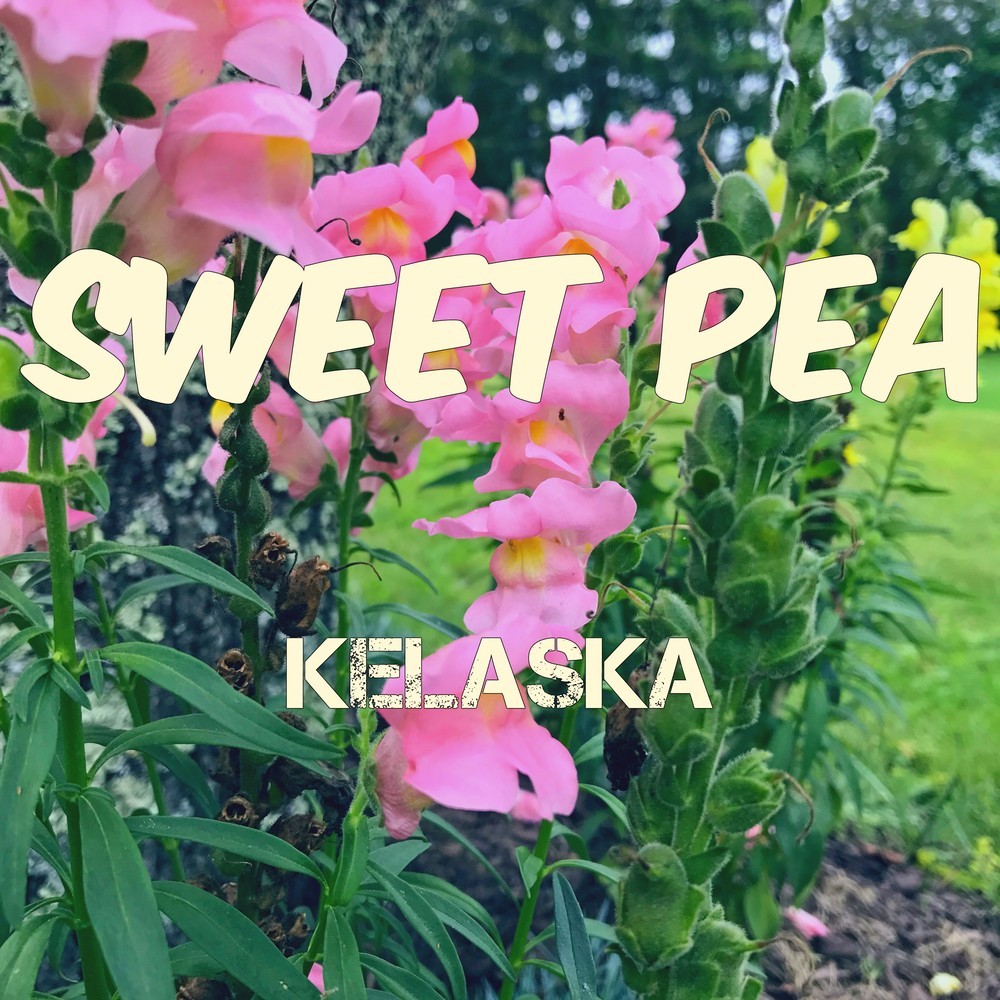 Sweet Pea