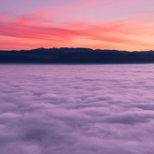 Listen to The True Vibe song with lyrics from Deep Sleep