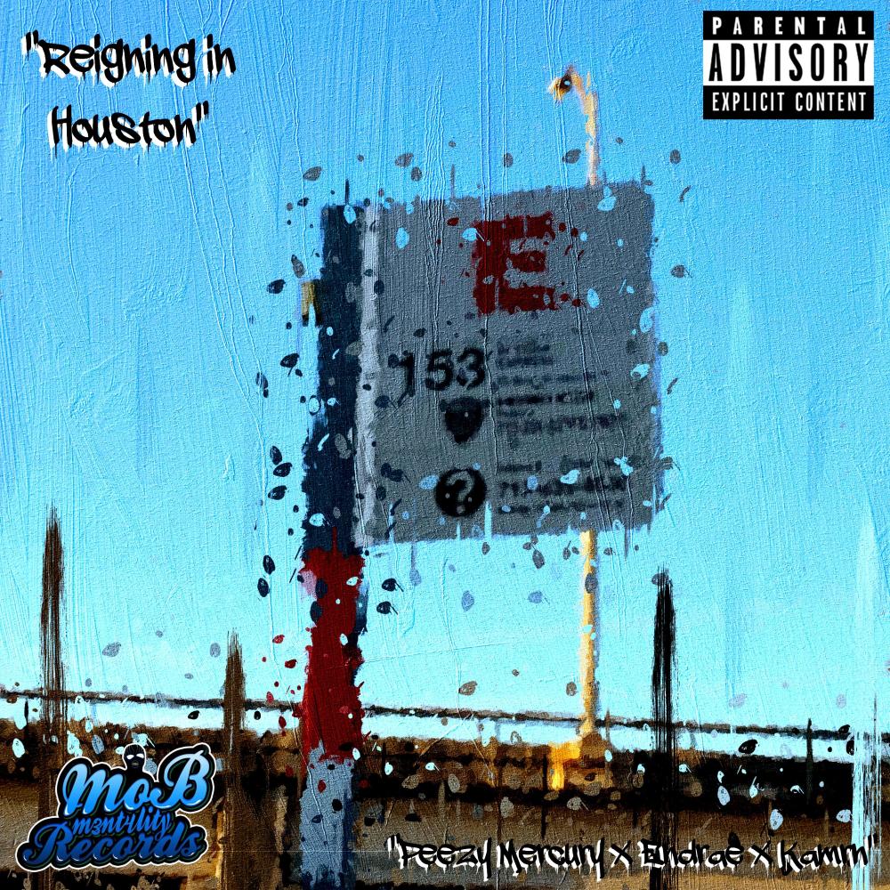 Reigning in Houston (feat. DG the Mob) (Explicit)
