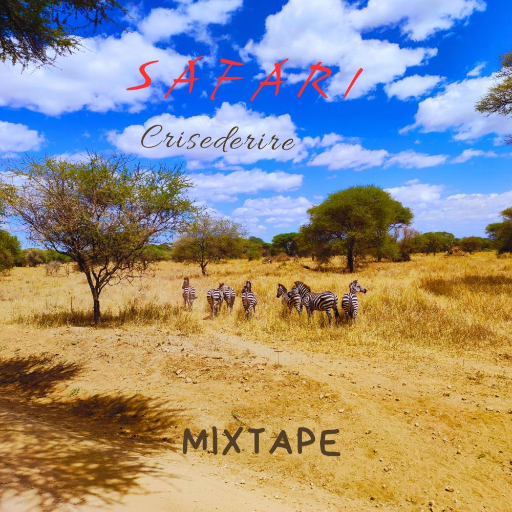 La belle life (feat. Swuz) (Explicit)
