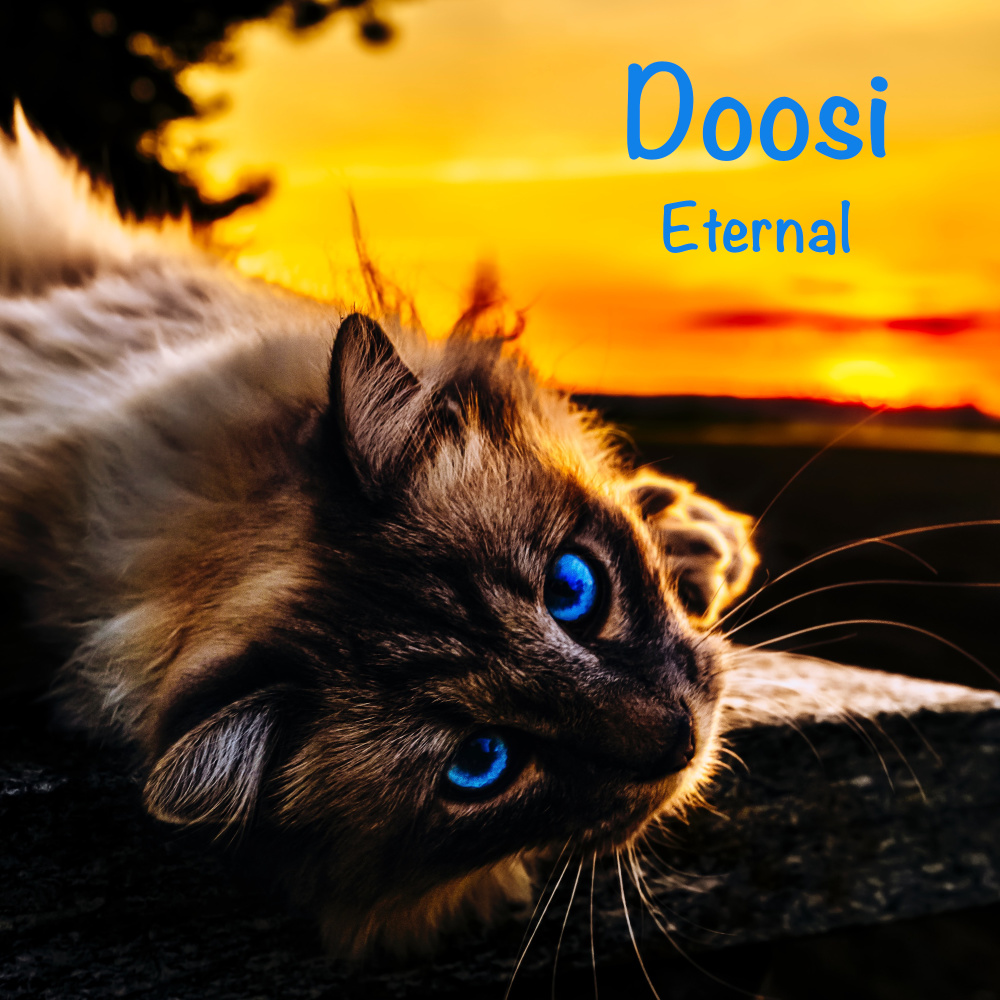 Eternal