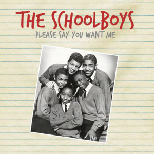 The Schoolboys的專輯Please Say You Want Me