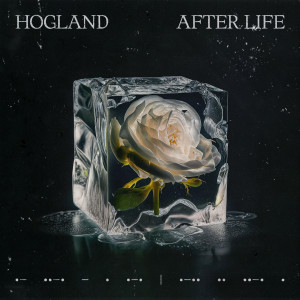 Hogland的專輯After Life