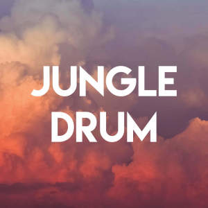 Listen to Jungle Drum song with lyrics from Sassydee