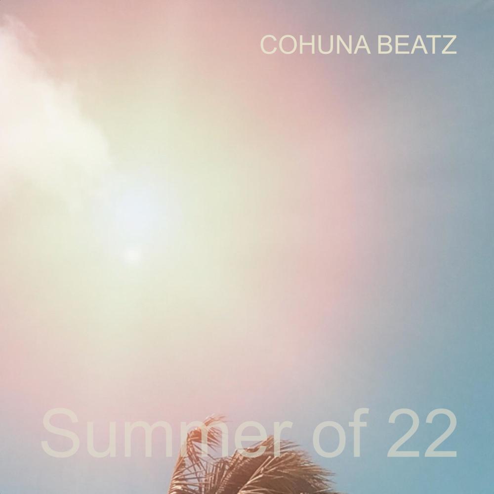 Summer Of TwentyTwo (VIP Mix)