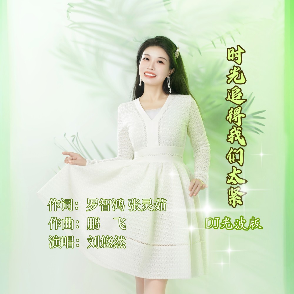 时光追得我们太紧（DJ光波版） (伴奏)