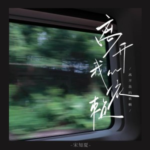 Album 离开我的依赖（emo版） from 宋知夏