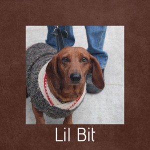 Listen to Lil Bit song with lyrics from Tropical Deep