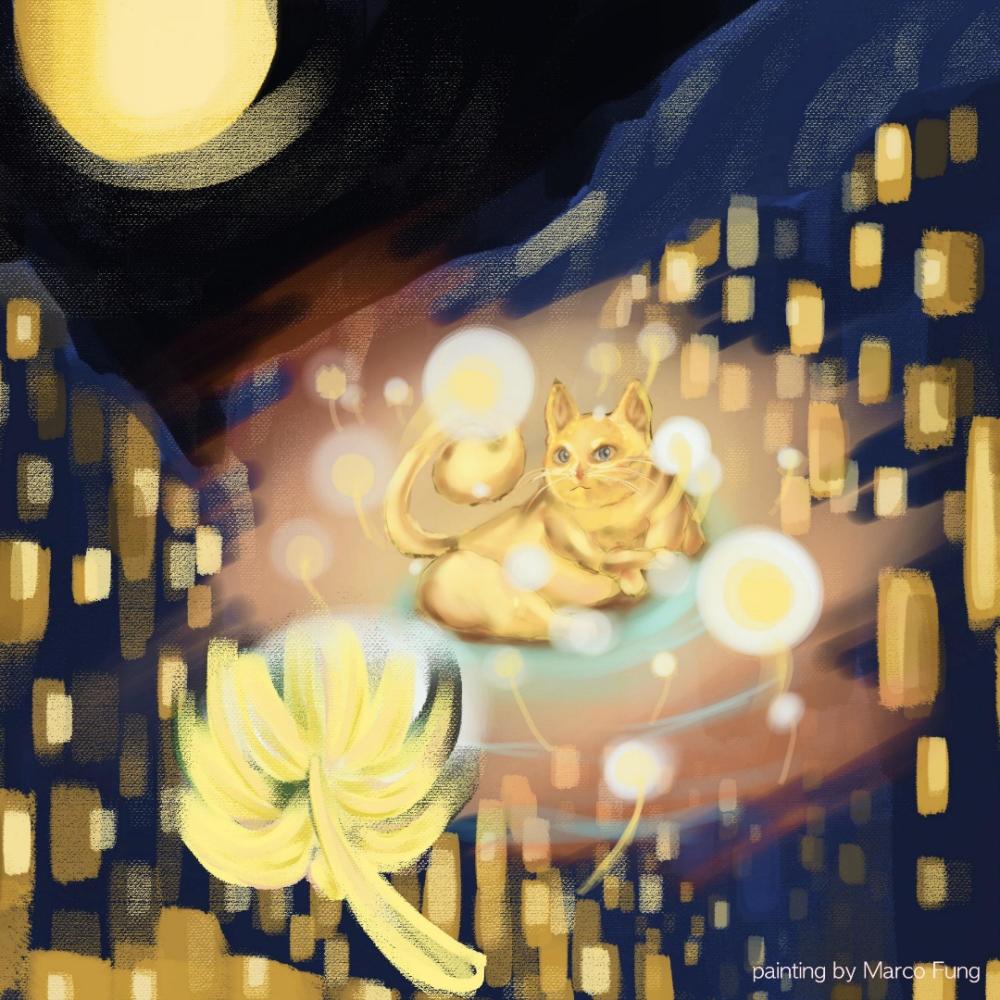 我并不在乎你有没有说谎 (Bonus Track)