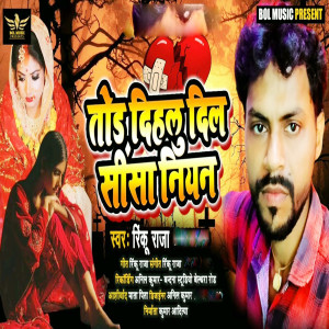 Listen to Tod Dihalu Dil Sheesha Niyan song with lyrics from Rinku Raja