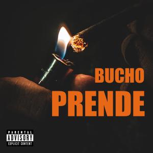Bucho的專輯PRENDE (Explicit)