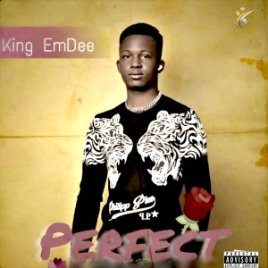 ดาวน์โหลดและฟังเพลง Perfect (Explicit) พร้อมเนื้อเพลงจาก King EmDee