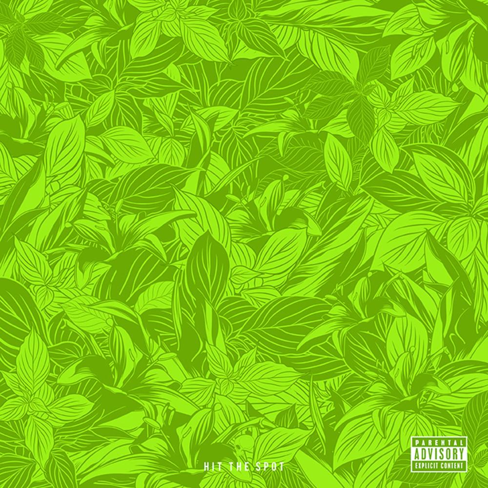 Roots or Leaves (feat. Nimbus 9 & Dj Buddah)