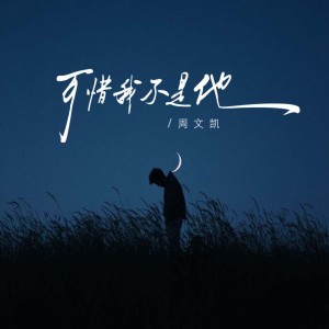 Listen to 可惜我不是他 (伴奏) song with lyrics from 周文凯