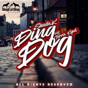 Listen to Ding Dog song with lyrics from Shade K
