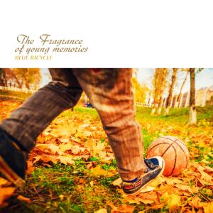 Album The Fragrance Of Young Memories oleh Blue Bicycle