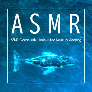 ดาวน์โหลดและฟังเพลง ASMR 雨 พร้อมเนื้อเพลงจาก 贵族音乐深度睡眠