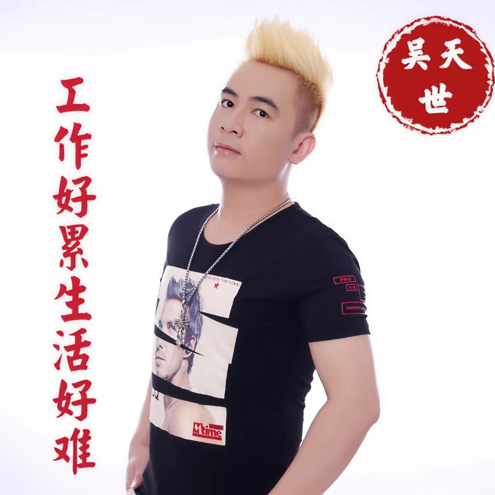 为了家再苦再累也值得（DJ苏平版） (伴奏)