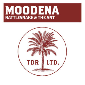 ดาวน์โหลดและฟังเพลง The Rattlesnake & The Ant พร้อมเนื้อเพลงจาก Moodena