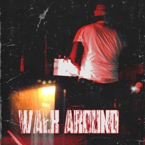 收聽Drilli的Walk Around (Explicit)歌詞歌曲