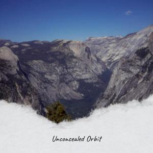Various的专辑Unconcealed Orbit