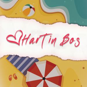 ดาวน์โหลดและฟังเพลง Hart In Bos พร้อมเนื้อเพลงจาก Snouuman