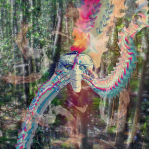 Album Feathered Ends from Melt Like Clouds